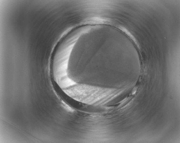 X0000067881477200605041821
