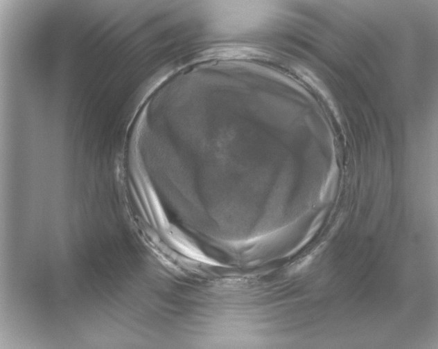 X0000067881481200605041821