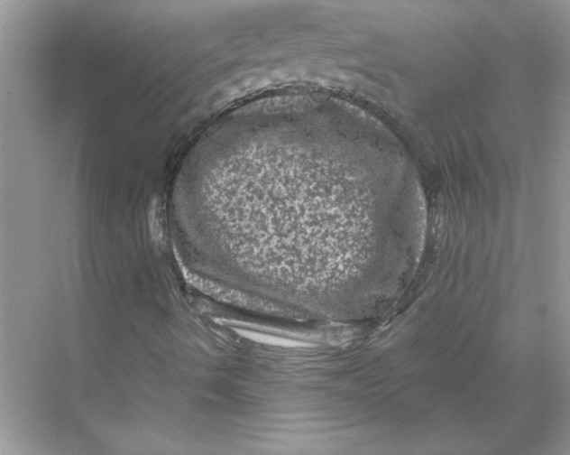 X0000067881490200605041820