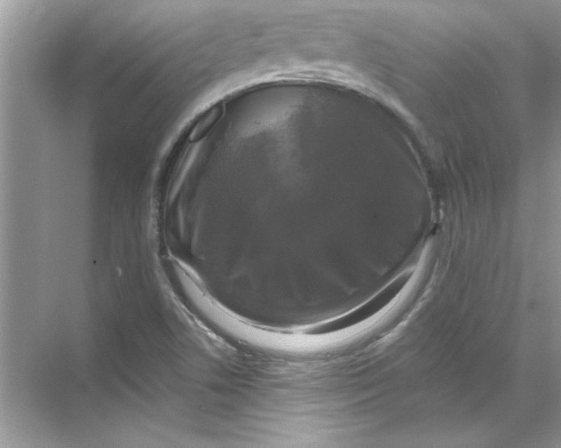 X0000067881506200605041820