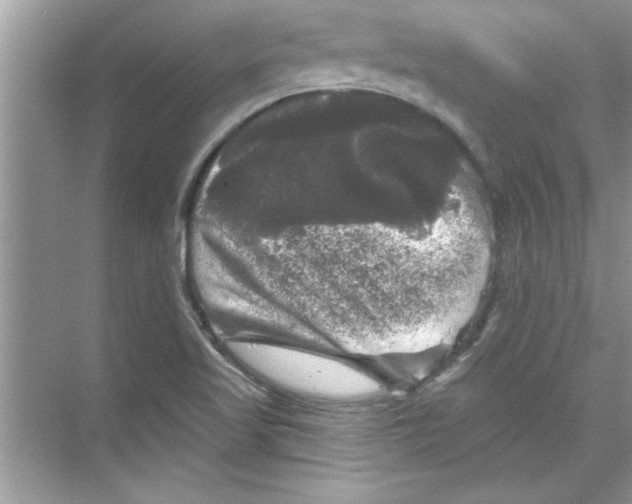 X0000067881509200605041820
