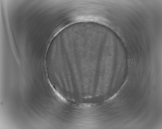 X0000067881521200605041820