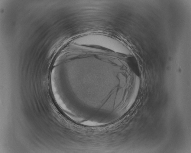 X0000067880002200605111837