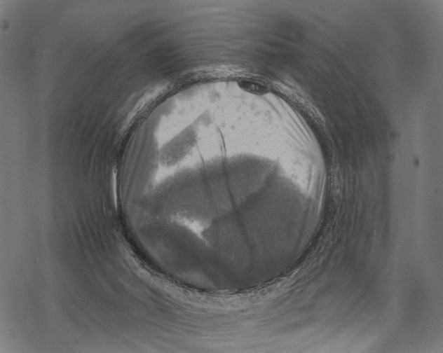 X0000067880014200605111837