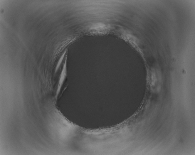 X0000067880017200605111837