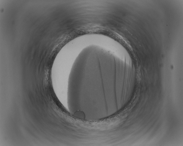 X0000067880018200605111837