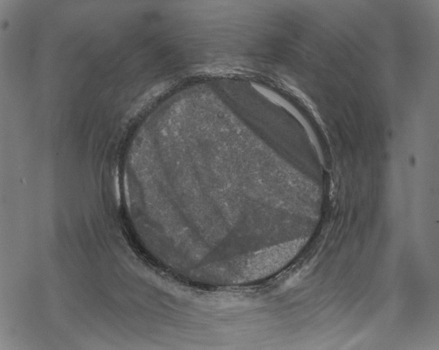 X0000067880020200605111837
