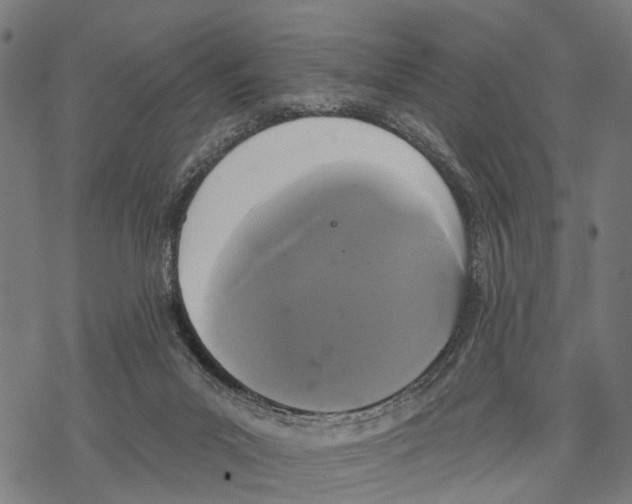 X0000067880023200605111837