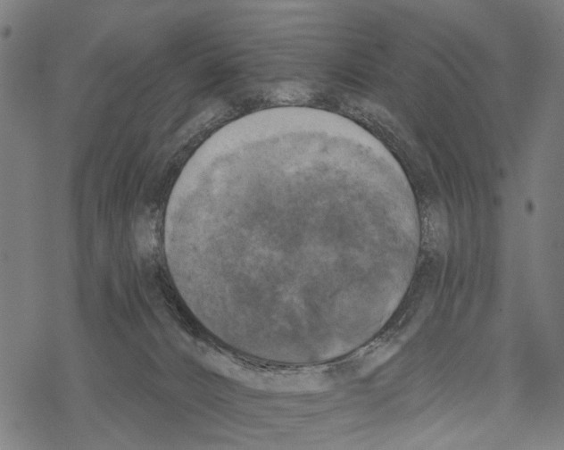 X0000067880032200605111837