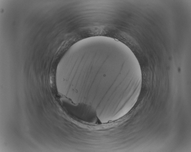 X0000067880035200605111837