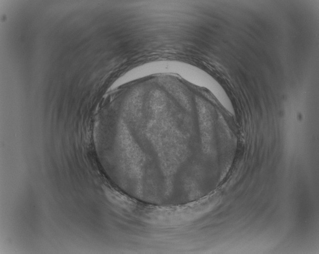X0000067880037200605111837
