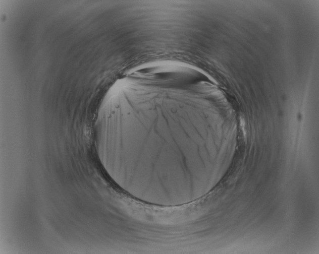 X0000067880039200605111836