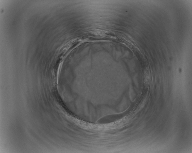 X0000067880043200605111836