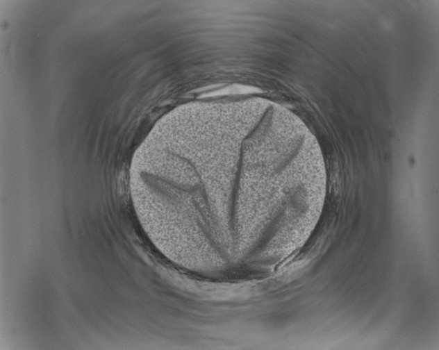 X0000067880044200605111836