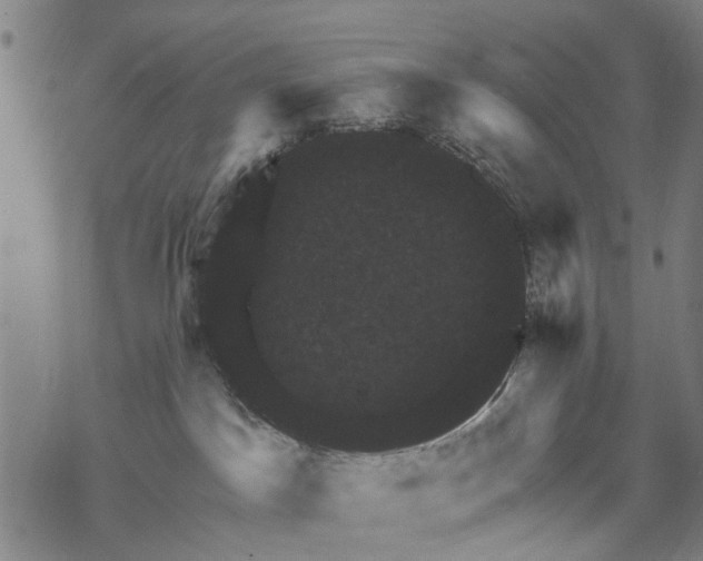 X0000067880045200605111836