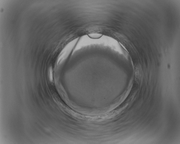 X0000067880046200605111836