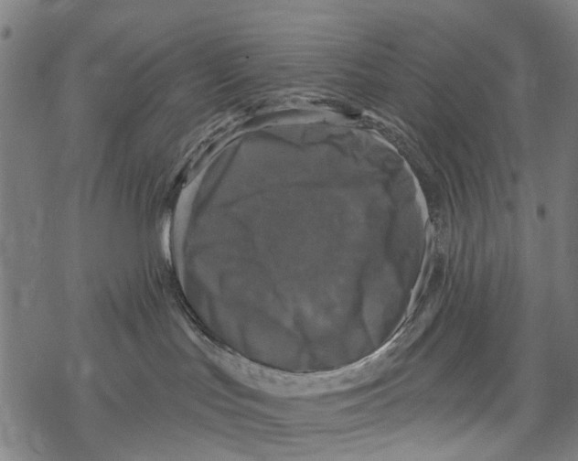 X0000067880047200605111836