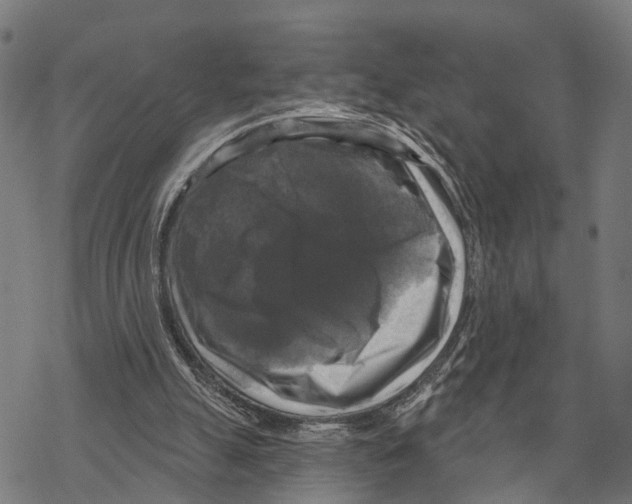 X0000067880055200605111836