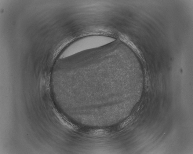 X0000067880058200605111836
