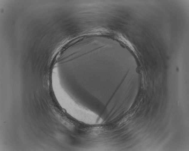 X0000067880059200605111836