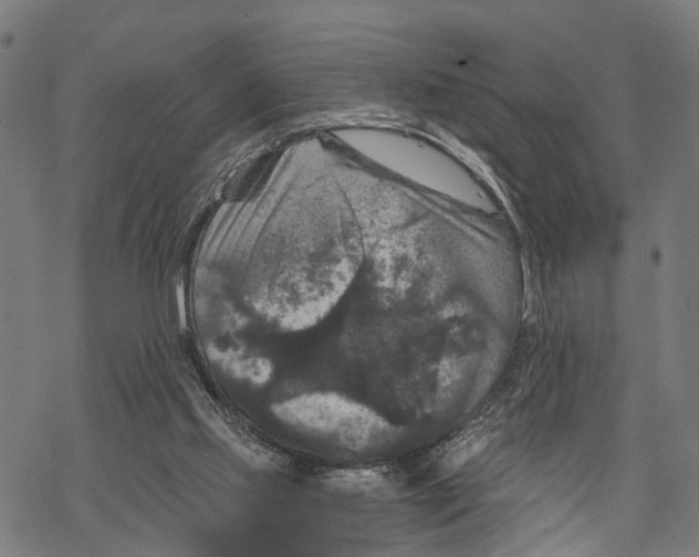 X0000067880061200605111836