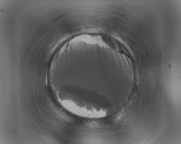 X0000067880062200605111836