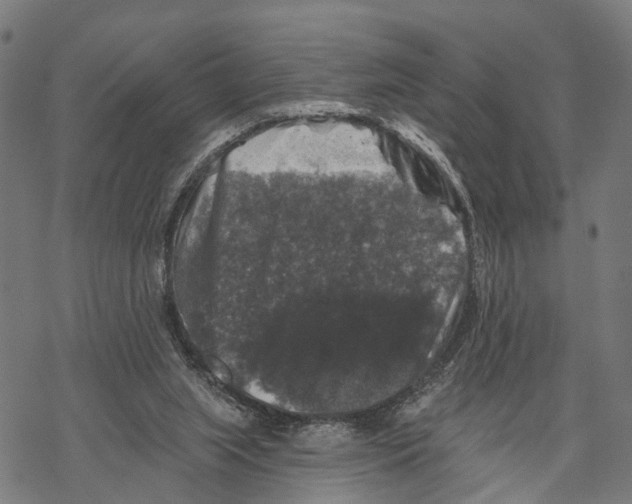 X0000067880063200605111836