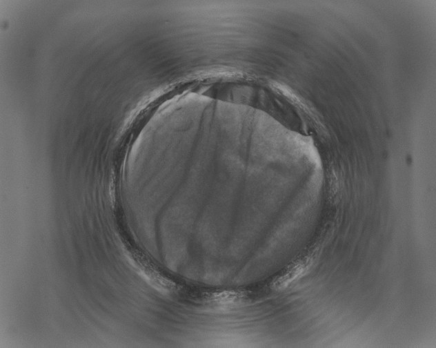 X0000067880064200605111836