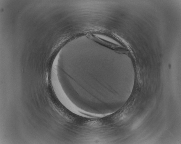 X0000067880067200605111836
