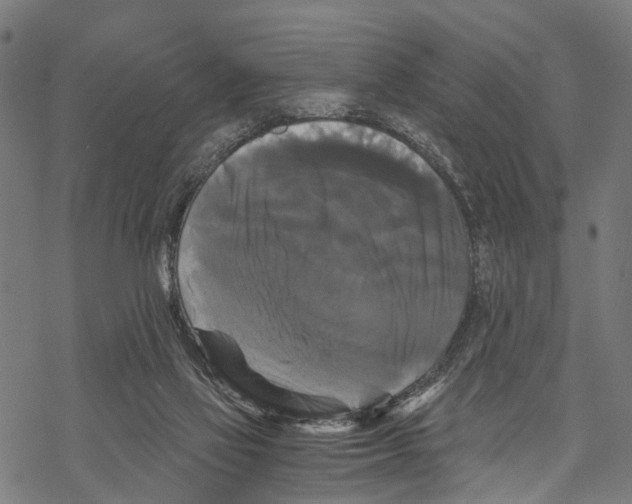 X0000067880069200605111836