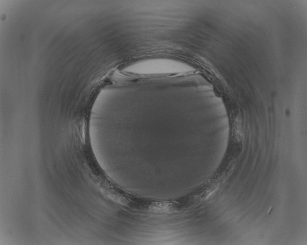 X0000067880076200605111836