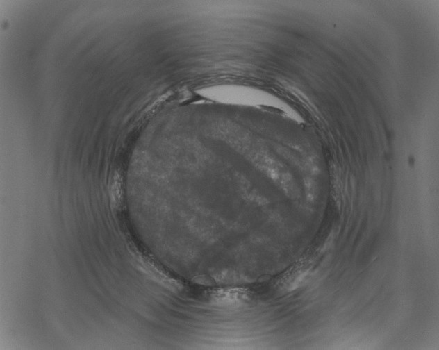 X0000067880077200605111836