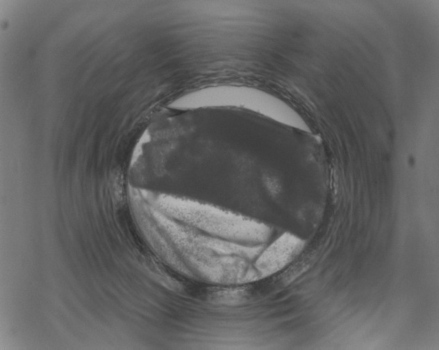 X0000067880081200605111836