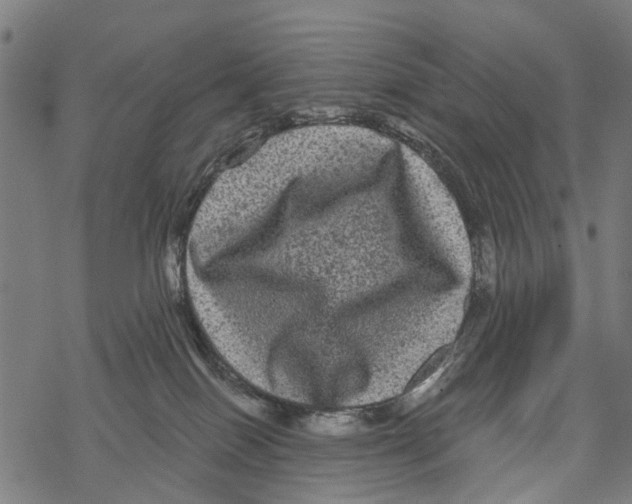 X0000067880086200605111836