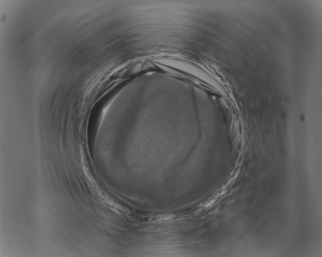 X0000067880097200605111835