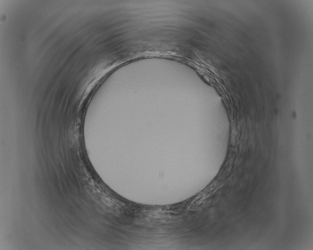 X0000067880098200605111835