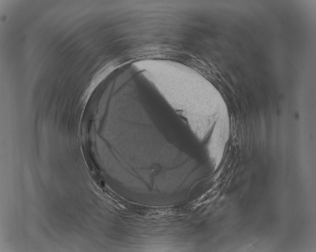 X0000067880099200605111835