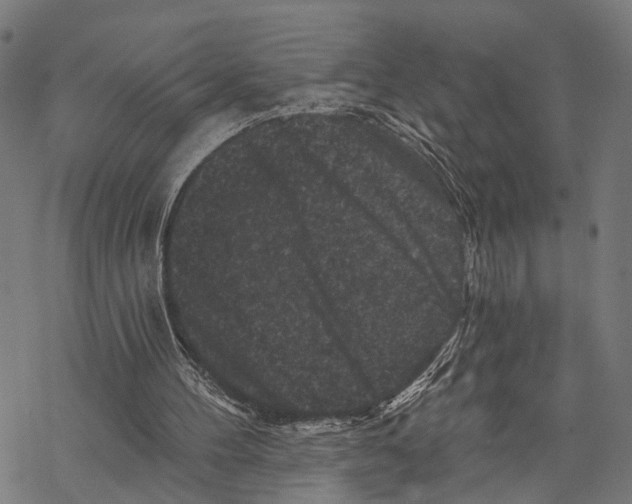 X0000067880100200605111835
