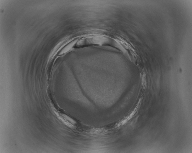 X0000067880101200605111835