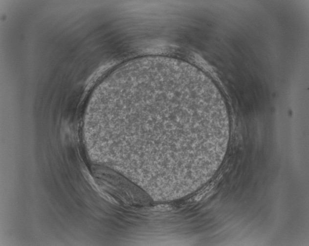 X0000067880106200605111835