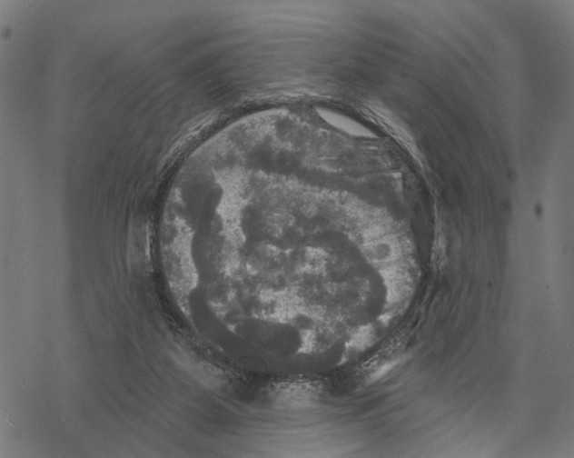 X0000067880115200605111835