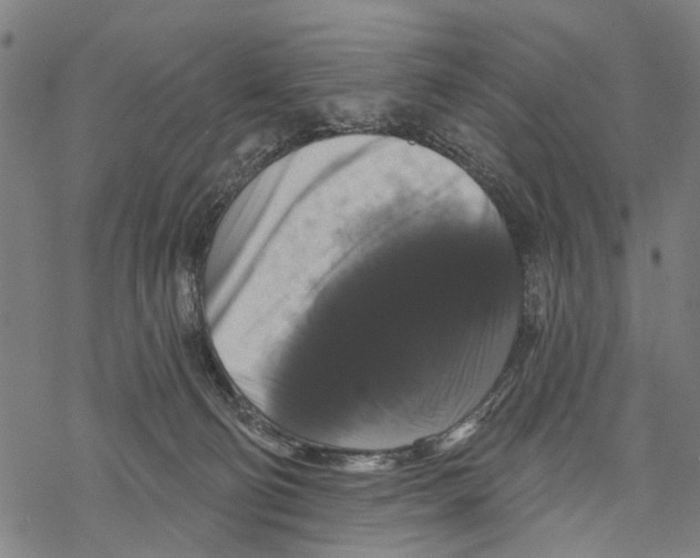 X0000067880130200605111835
