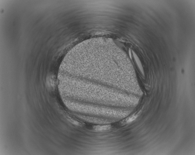 X0000067880135200605111835