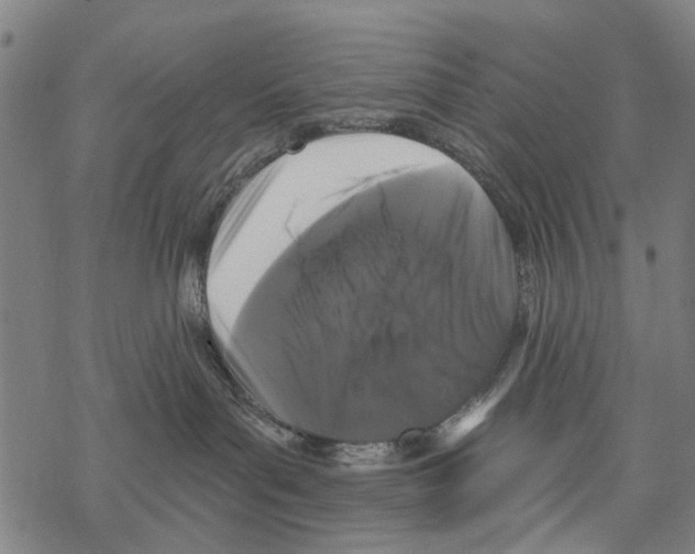 X0000067880143200605111835