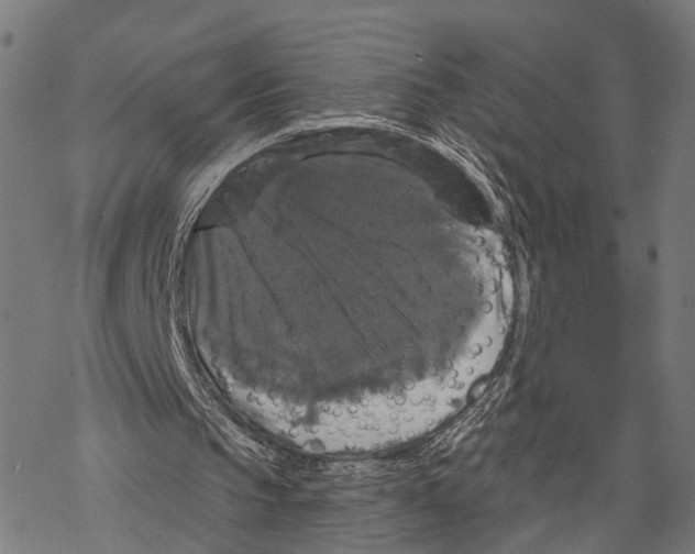 X0000067880145200605111834