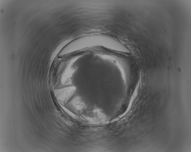 X0000067880147200605111834