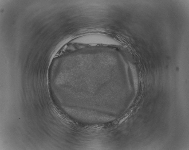 X0000067880148200605111834