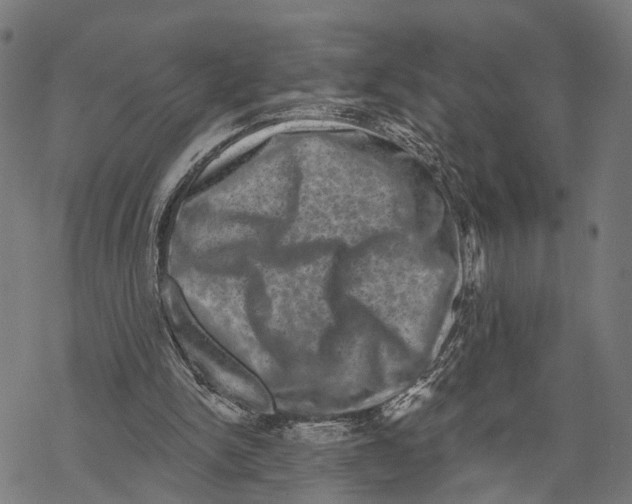 X0000067880150200605111834