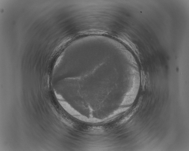 X0000067880157200605111834