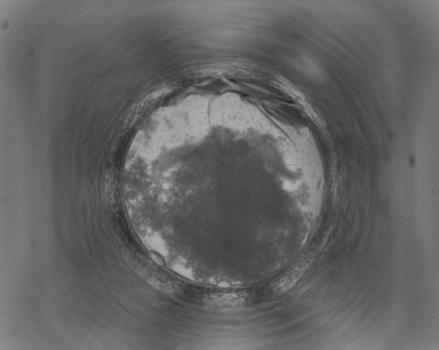X0000067880161200605111834